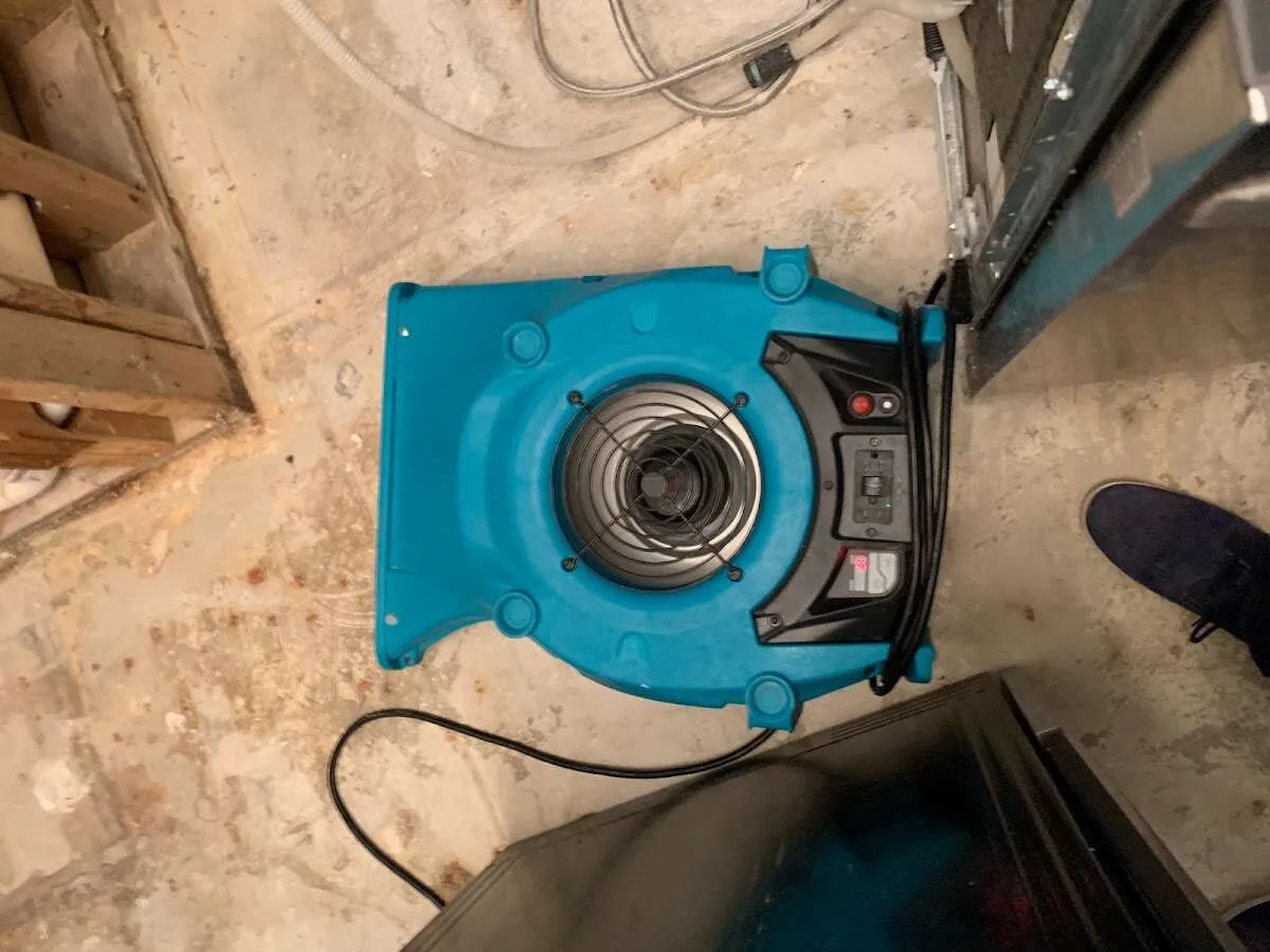 Air mover drying equipment for Mold Remediation & Removal in Plumas Lake